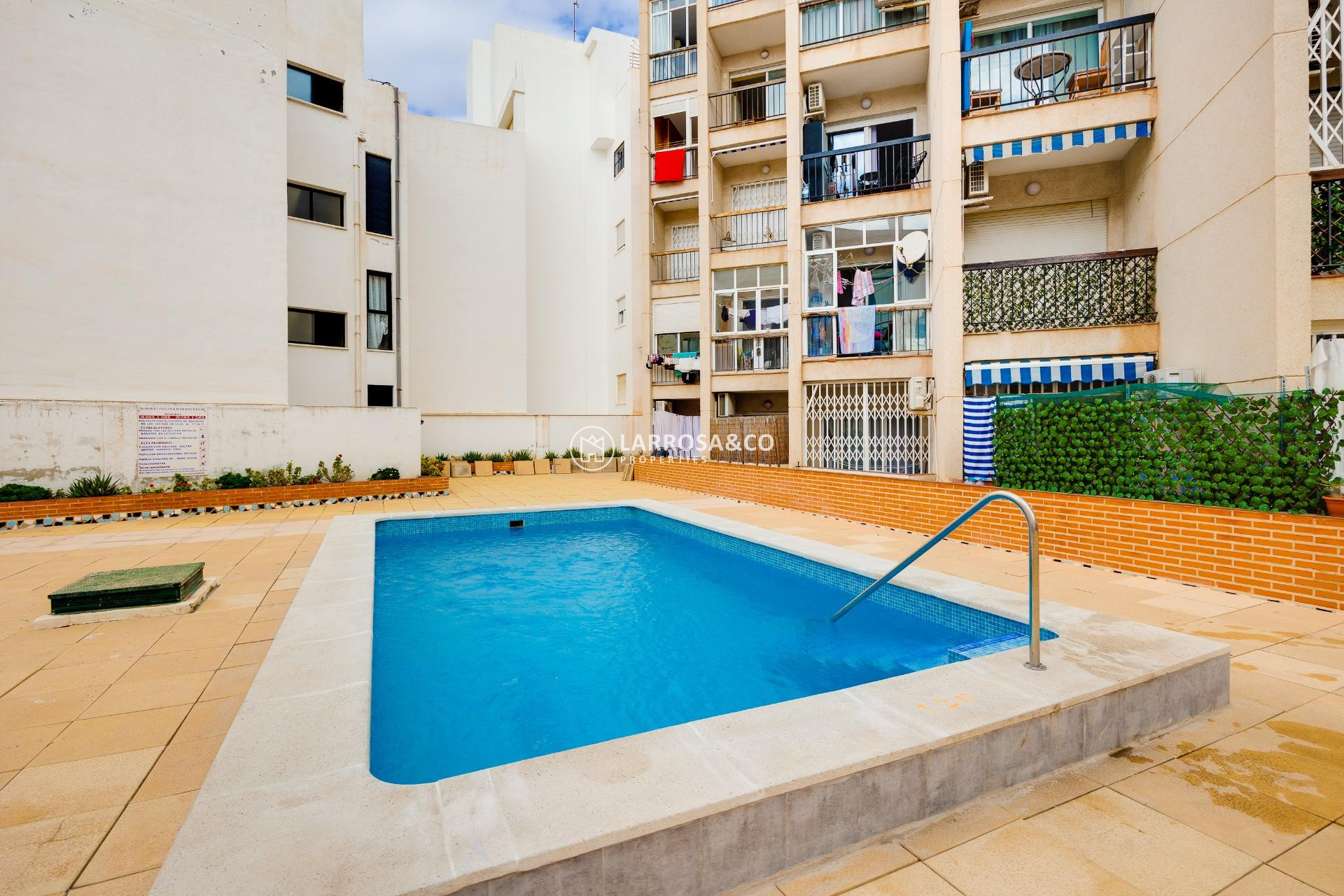 A Vendre - Apartment - Torrevieja - Playa del cura