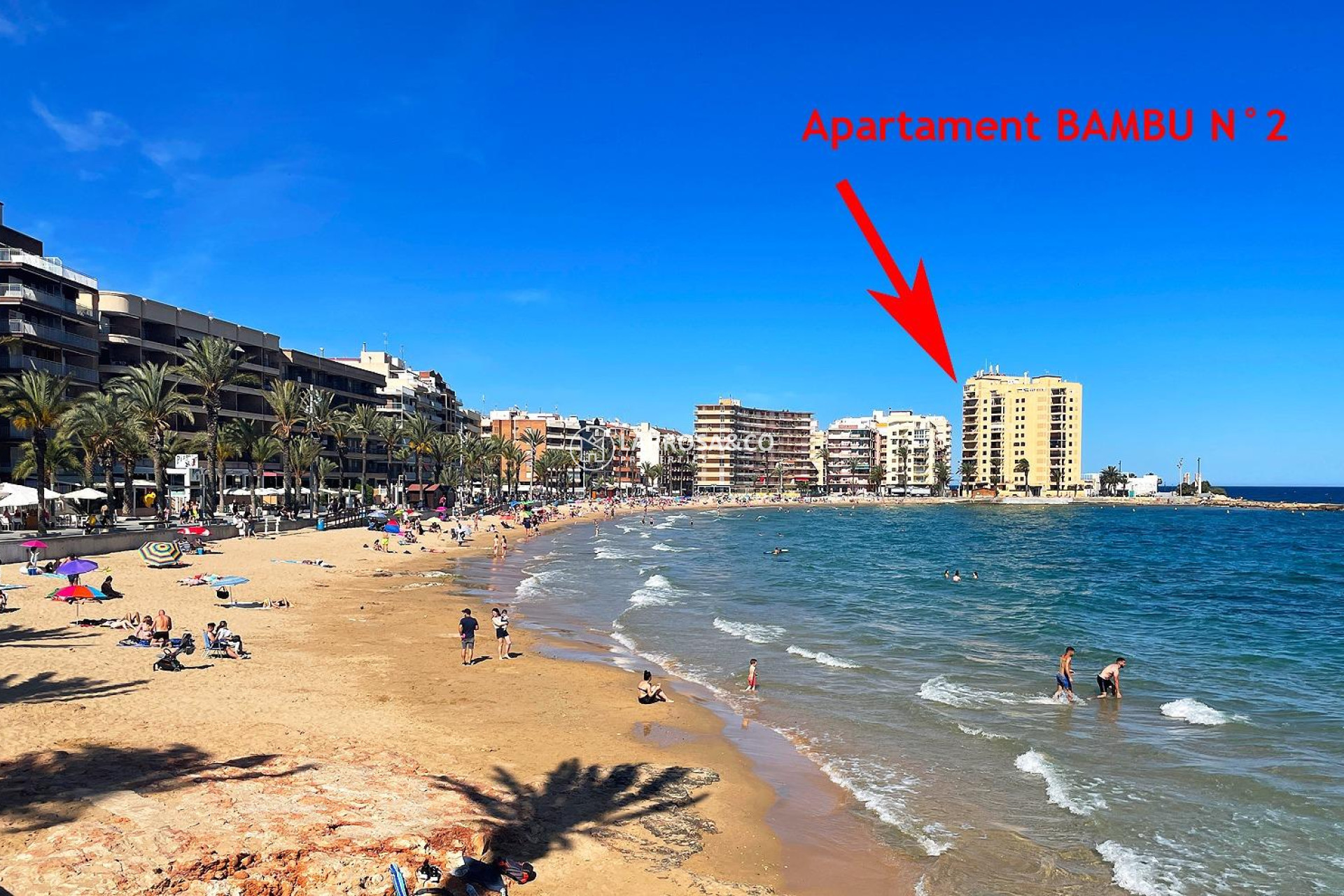 A Vendre - Apartment - Torrevieja - Playa del cura