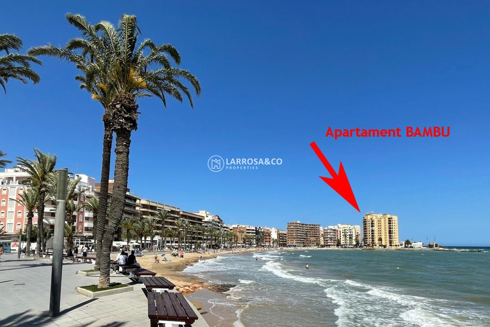 A Vendre - Apartment - Torrevieja - Playa del cura