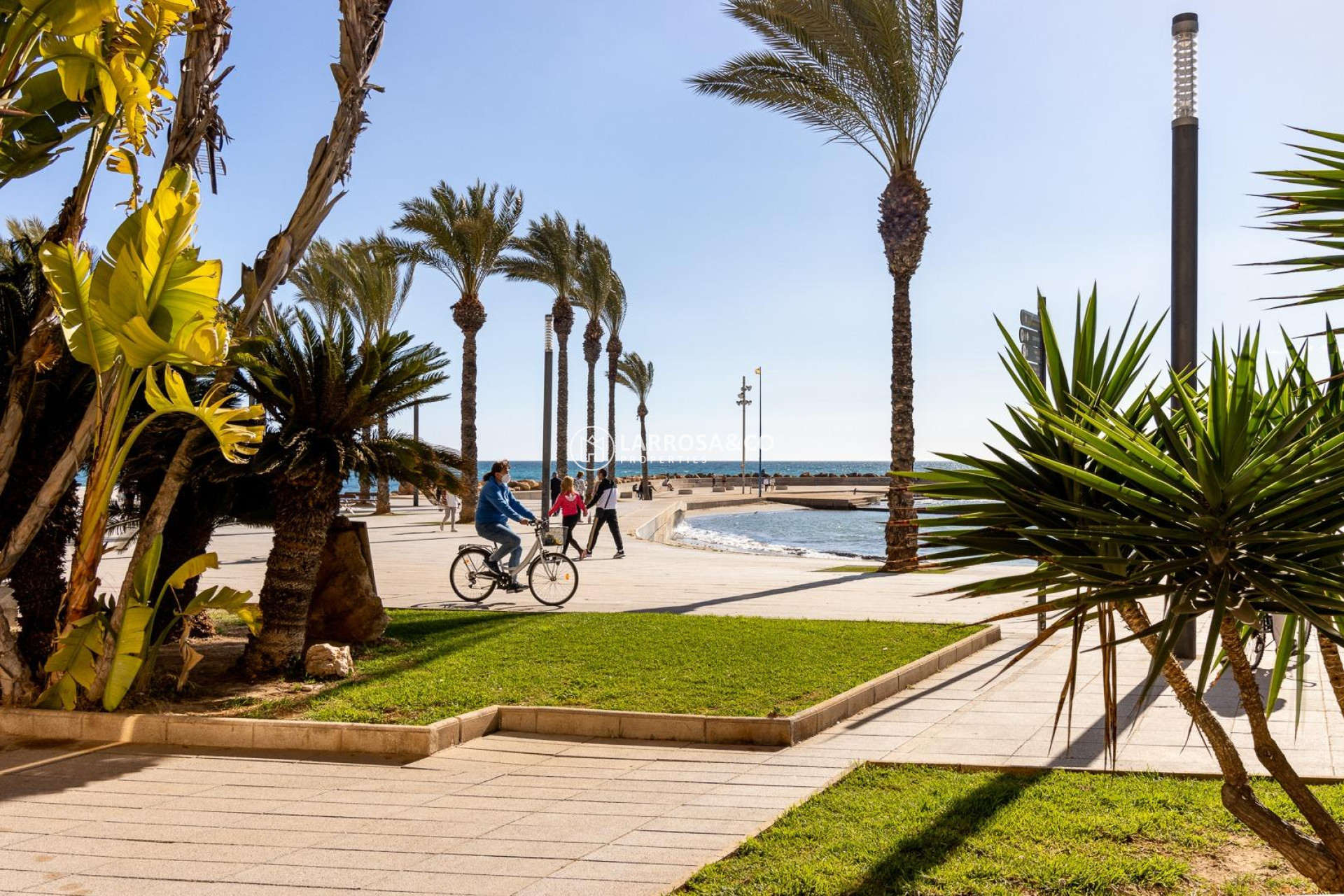 A Vendre - Apartment - Torrevieja - Playa del cura