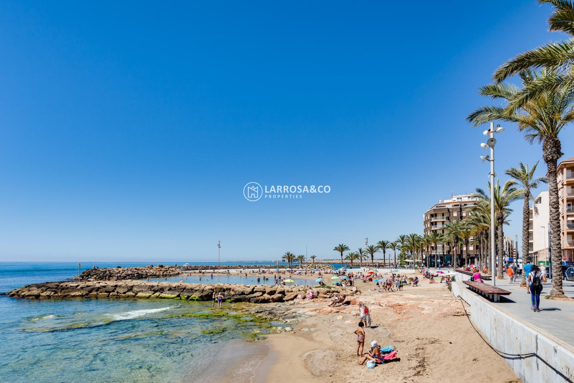 A Vendre - Apartment - Torrevieja - Playa del cura