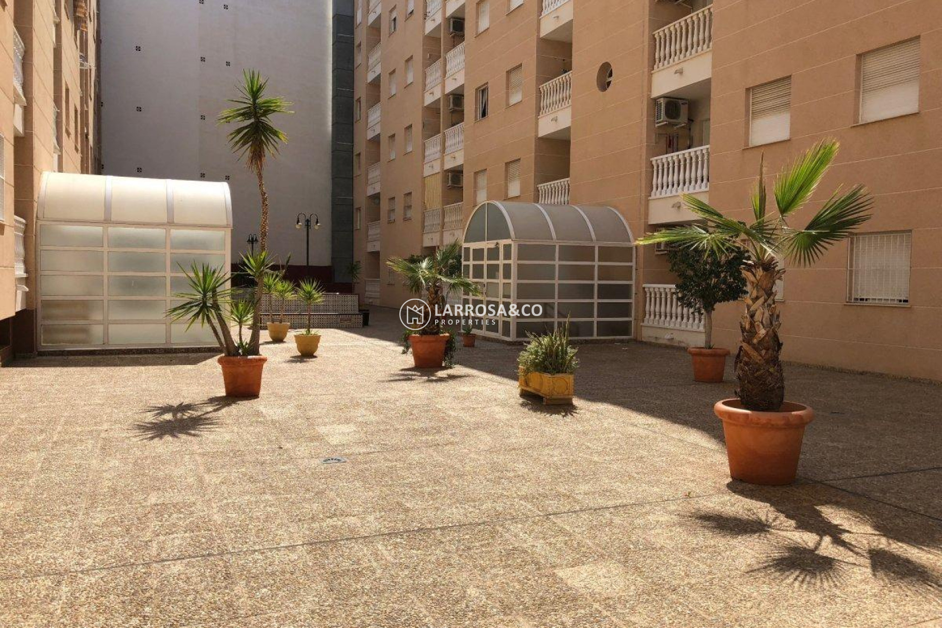 A Vendre - Apartment - Torrevieja - Playa del cura