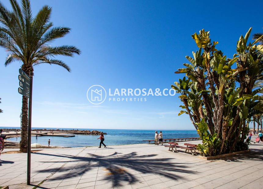 A Vendre - Apartment - Torrevieja - Playa del cura