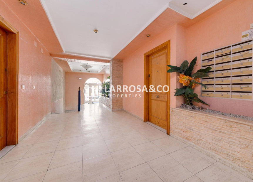 A Vendre - Apartment - Torrevieja - Playa del cura