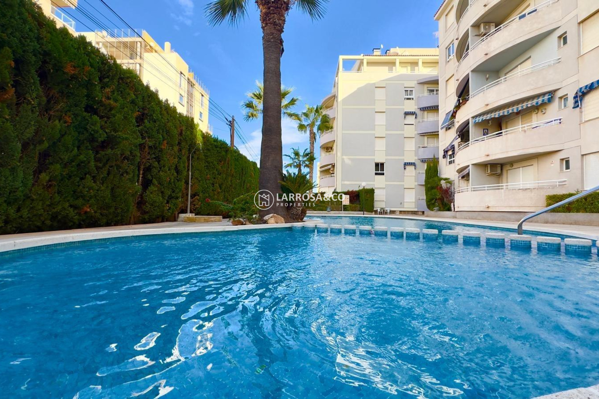 A Vendre - Apartment - Torrevieja - Playa del cura