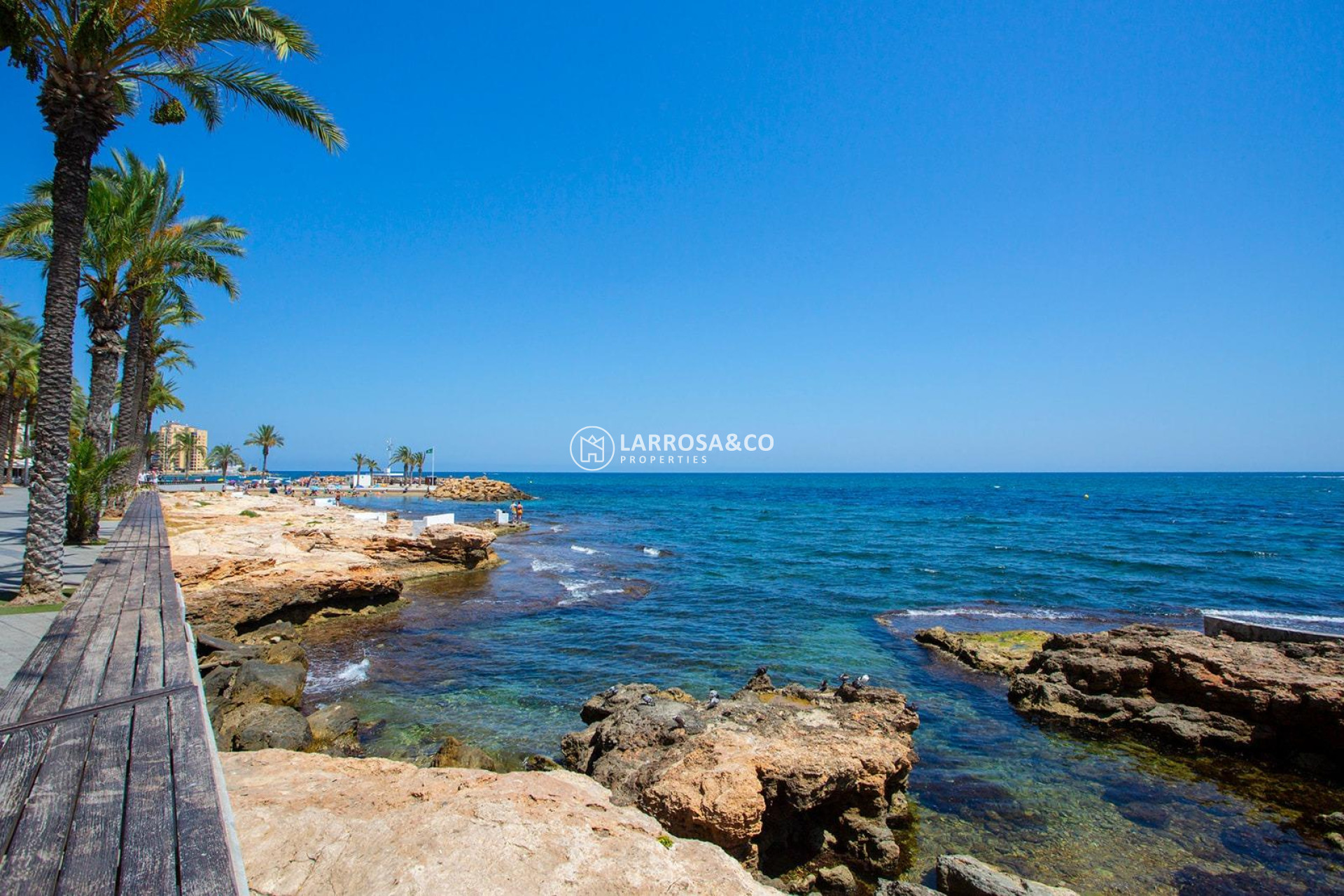 A Vendre - Apartment - Torrevieja - Playa del cura