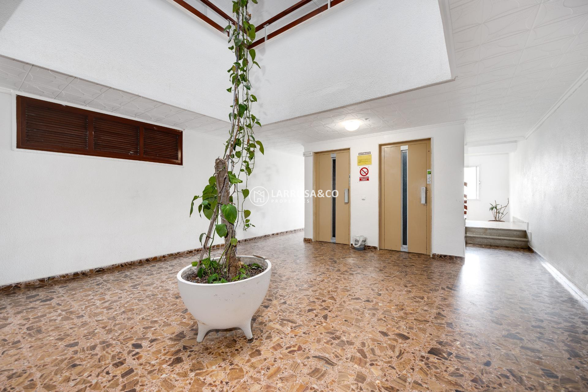 A Vendre - Apartment - Torrevieja - Punta Prima