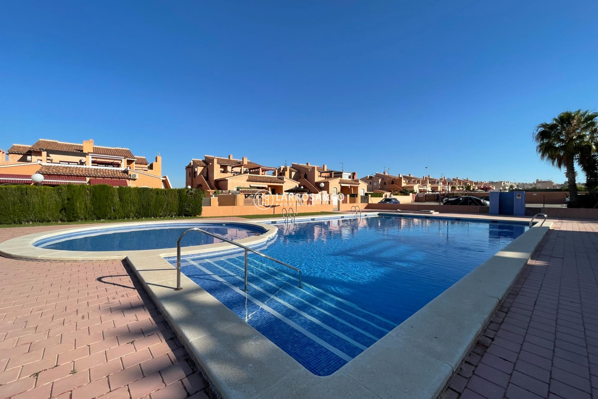 A Vendre - Apartment - Torrevieja - Rosaleda-los frutales