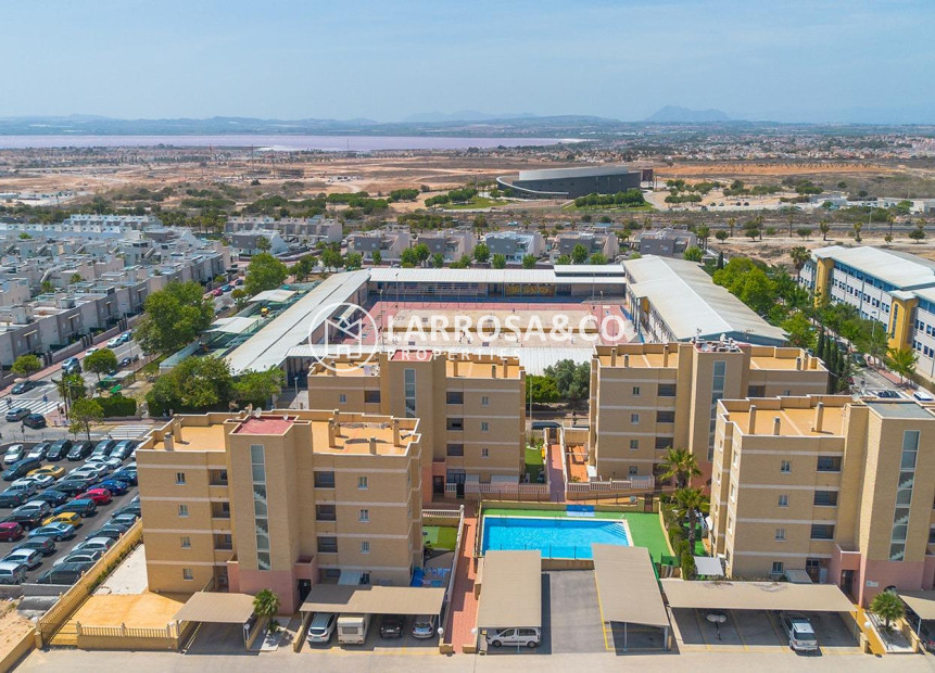 A Vendre - Apartment - Torrevieja - Sector 25