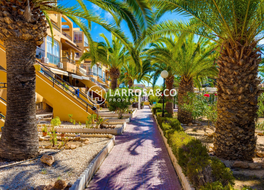 A Vendre - Apartment - Torrevieja - Torreblanca
