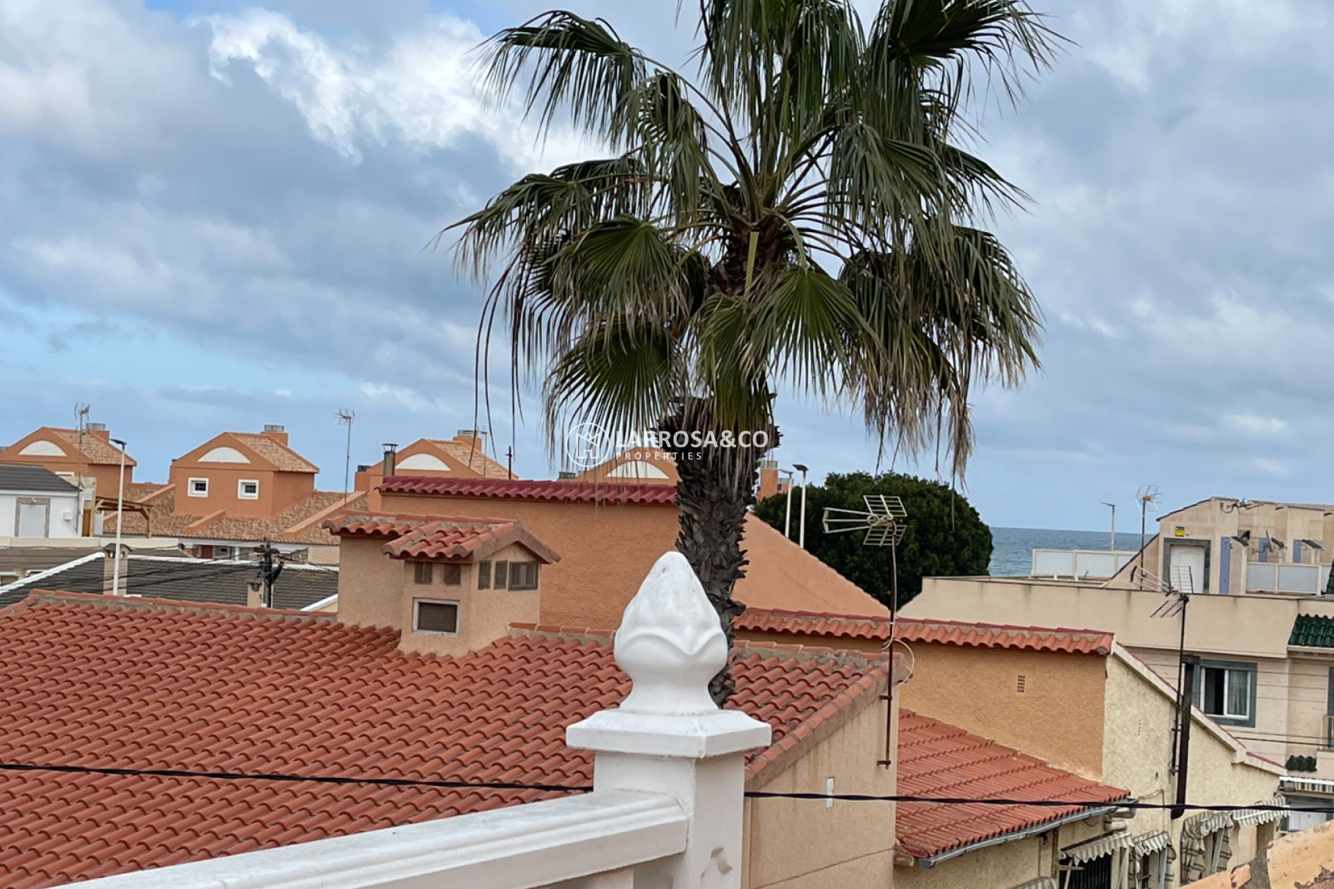 A Vendre - Bungalow - La Mata - Costa Blanca