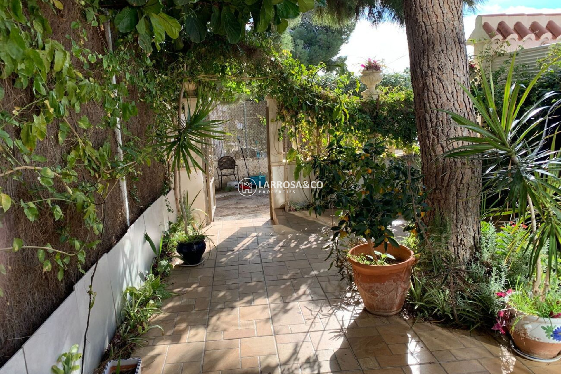 A Vendre - Bungalow - La Zenia - Costa Blanca