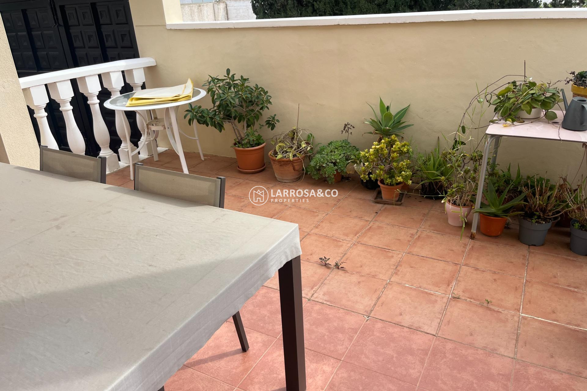 A Vendre - Bungalow - San Miguel de Salinas - Las Filipinas