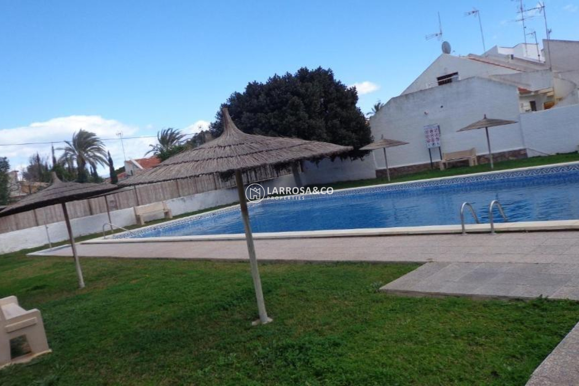 A Vendre - Bungalow - Torrevieja - Calas blanca