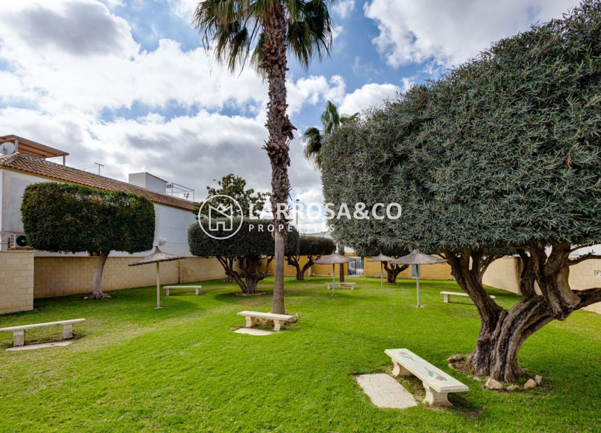 A Vendre - Bungalow - Torrevieja - Doña ines