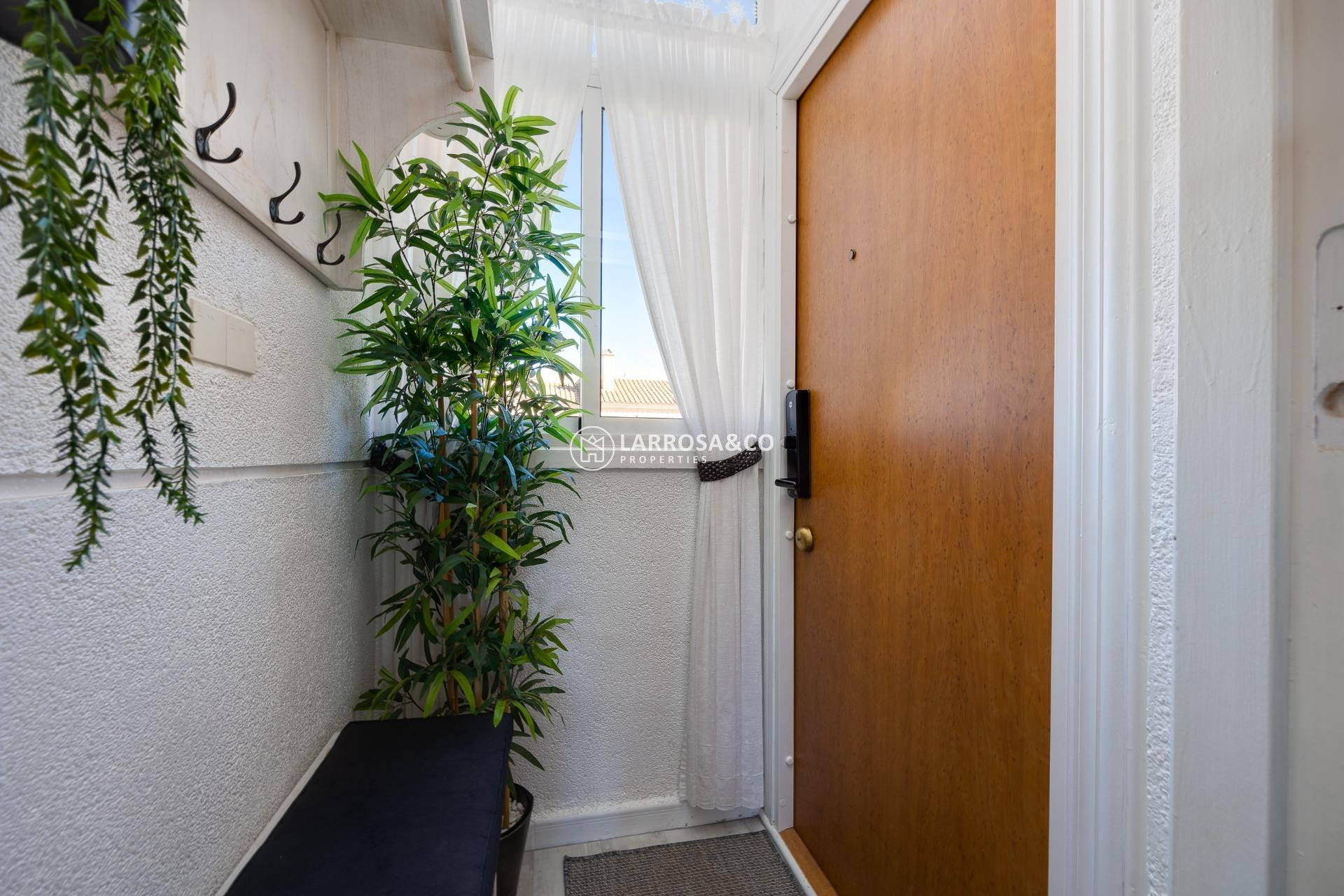 A Vendre - Bungalow - Torrevieja - El molino