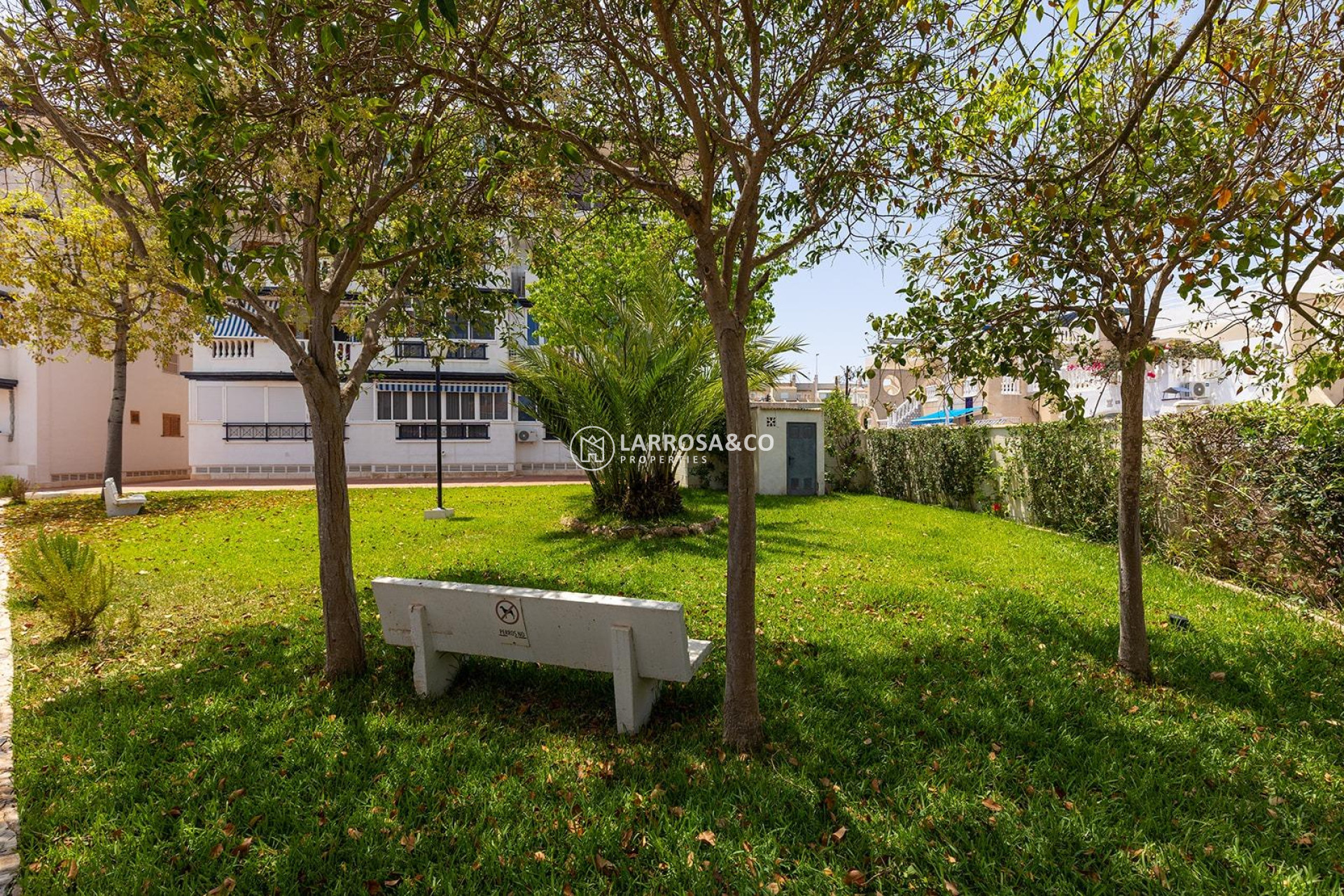 A Vendre - Bungalow - Torrevieja - La Mata