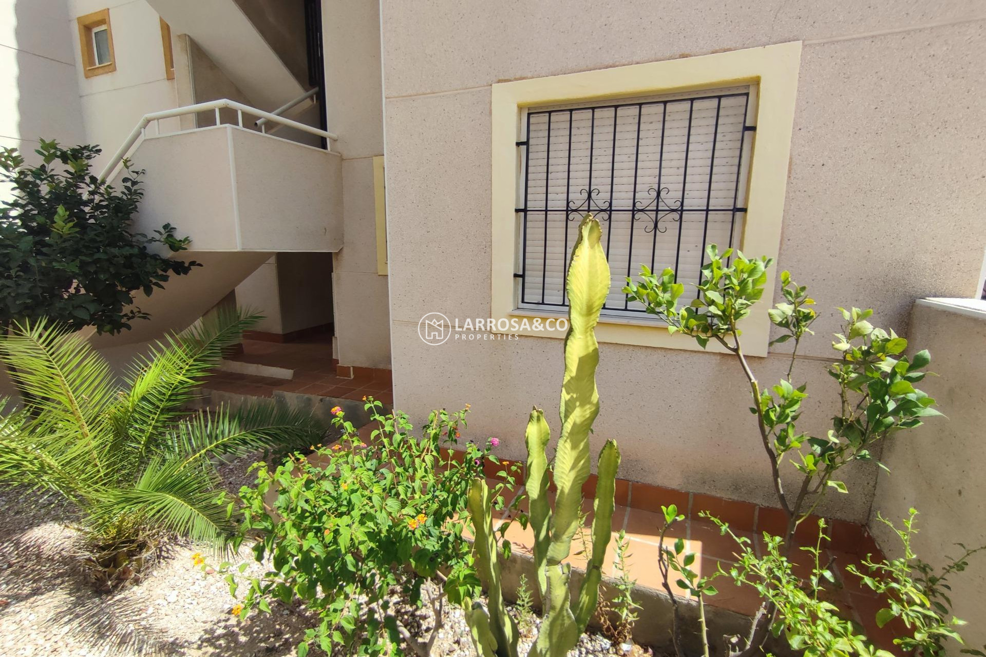 A Vendre - Bungalow - Torrevieja - Torre la mata