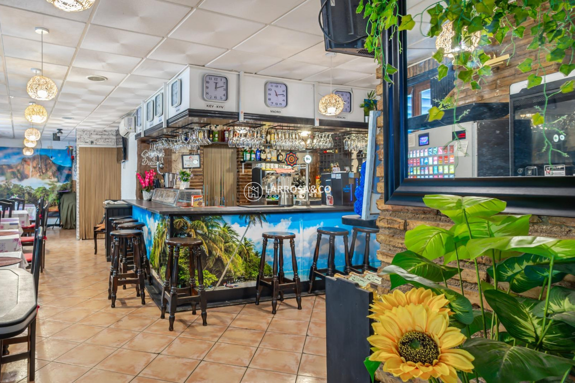 A Vendre - Business - Torrevieja - Estacion de autobuses