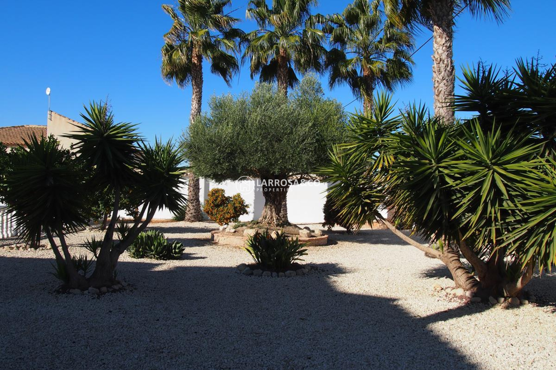 A Vendre -  - Catral - Catral Centre