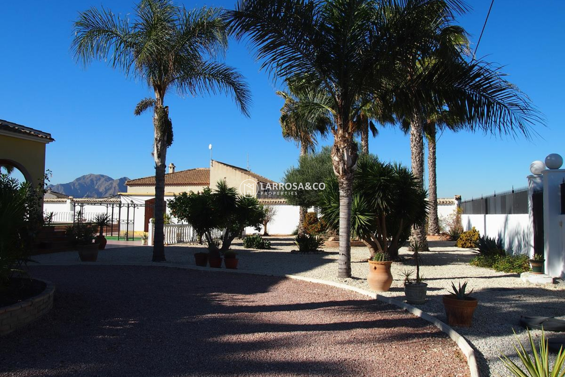 A Vendre -  - Catral - Catral Centre