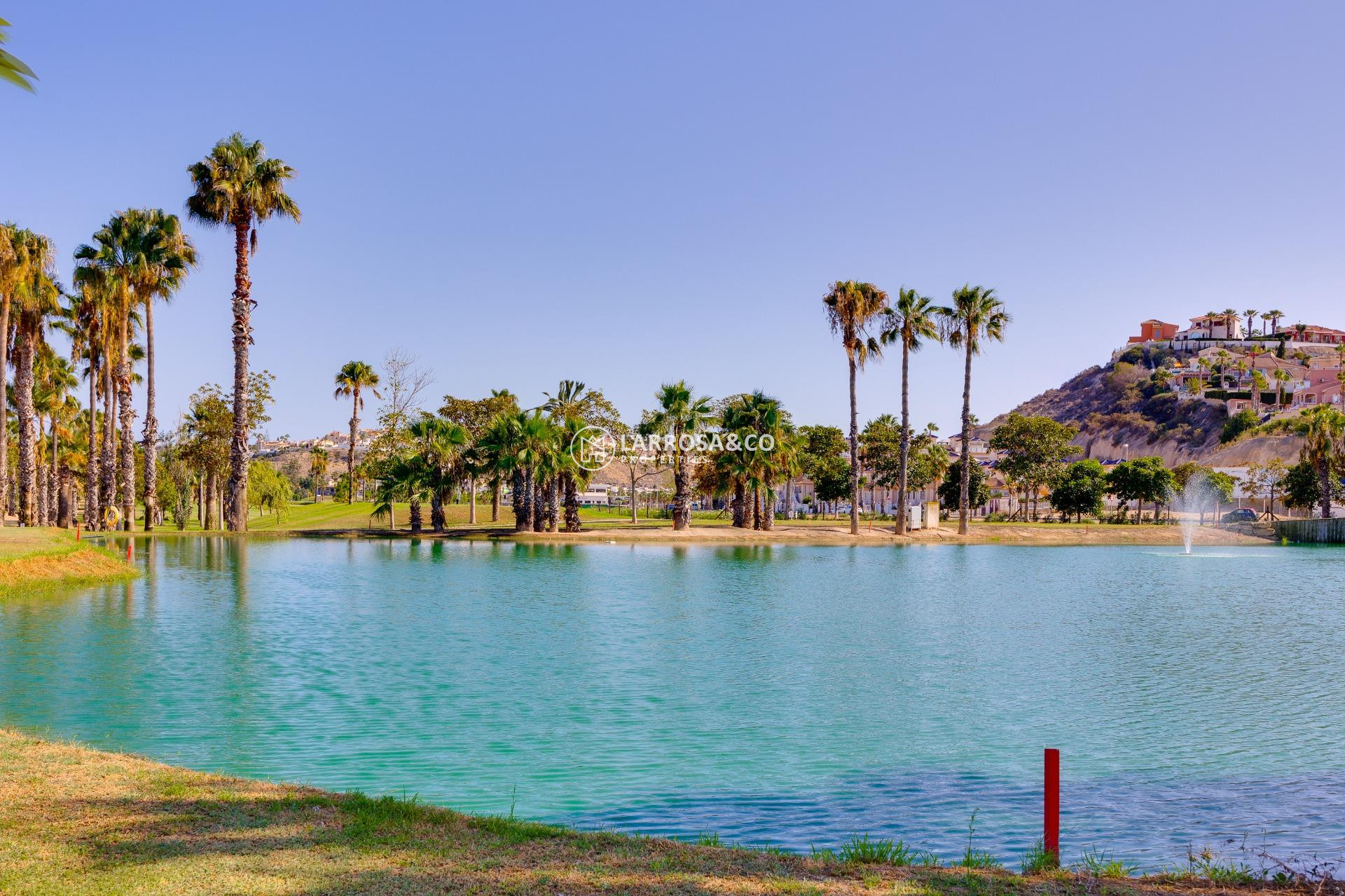 A Vendre - Commercial space - Ciudad Quesada - DOÑA PEPA