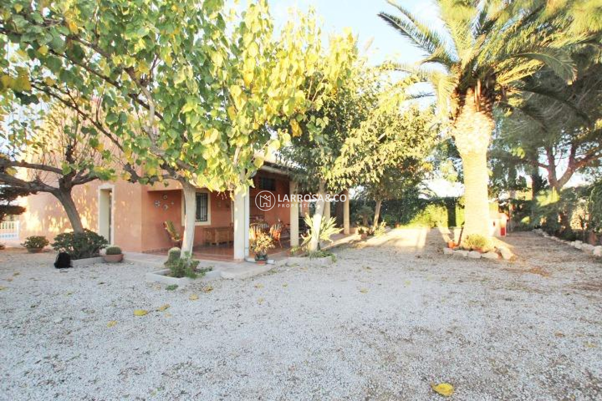 A Vendre - Country house - Almoradí - Comunidad valenciana