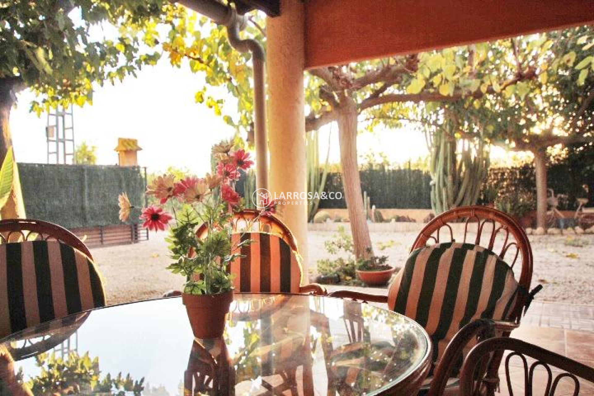 A Vendre - Country house - Almoradí - Comunidad valenciana