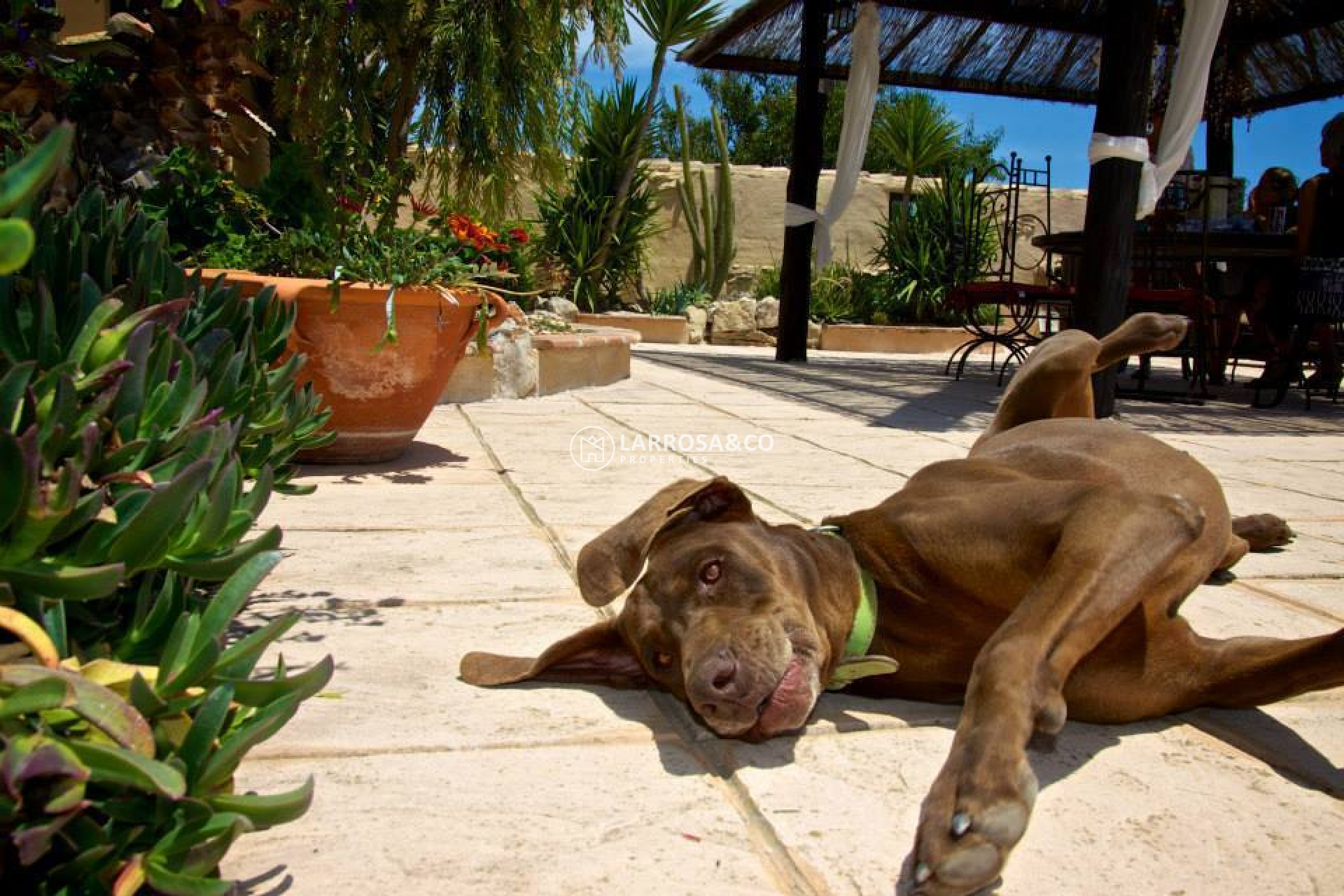 A Vendre - Country house - Benissa - Costa Blanca