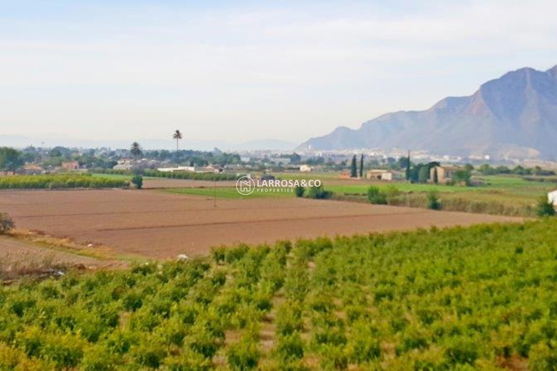 A Vendre - Country house - Callosa de Segura - Inland
