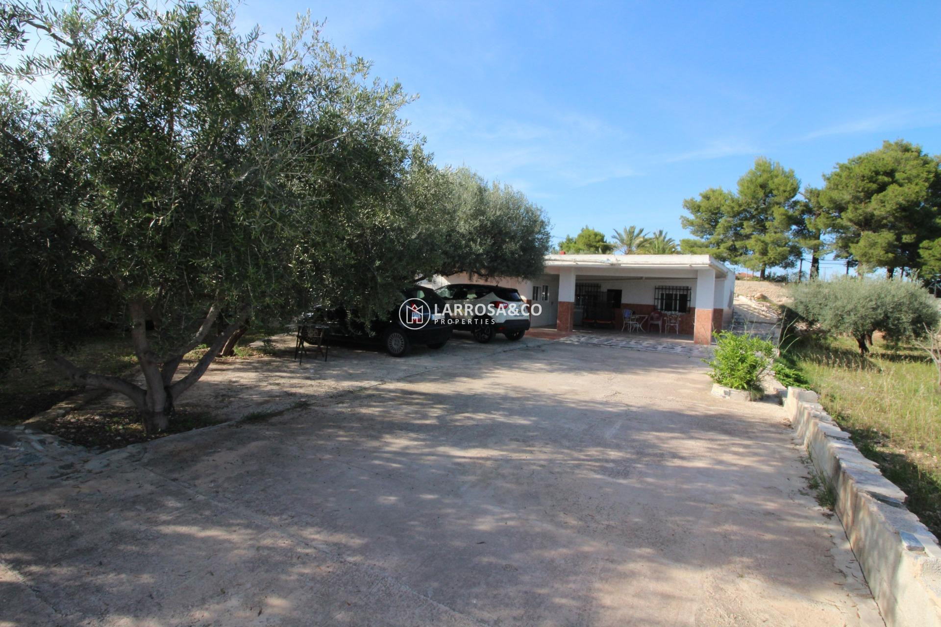 A Vendre - Country house - Crevillent - P.Catxapets