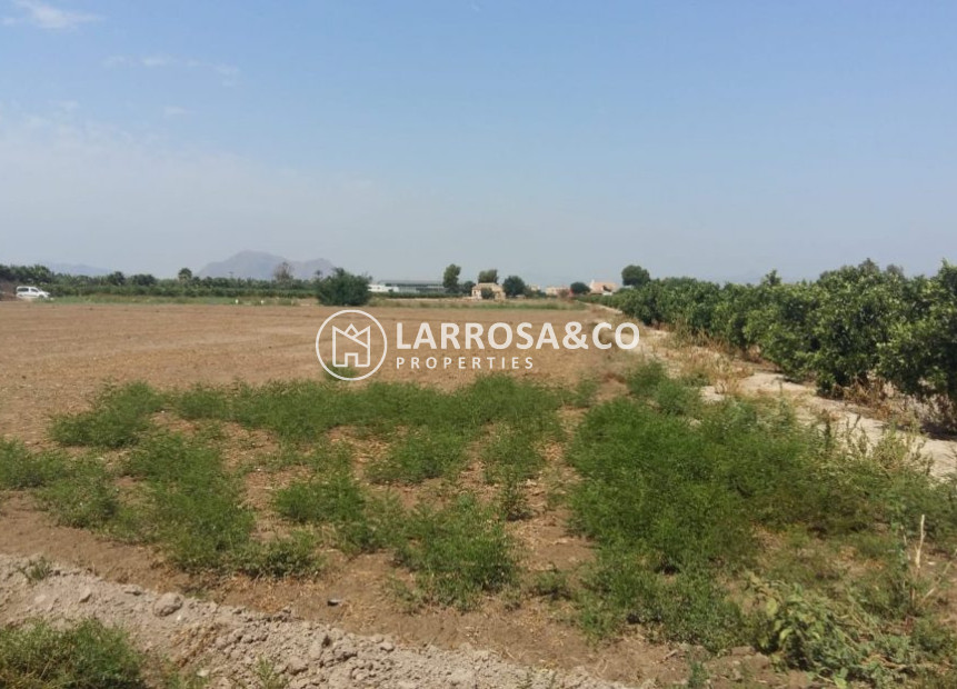 A Vendre - Country house - Daya Nueva - Costa Blanca