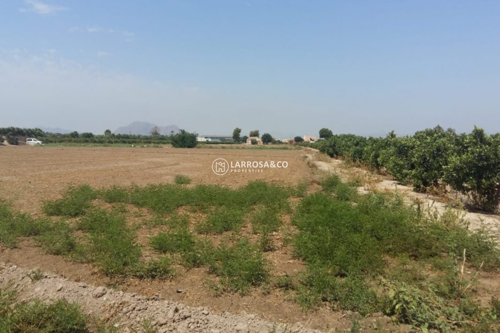 A Vendre - Country house - Daya Nueva - Costa Blanca