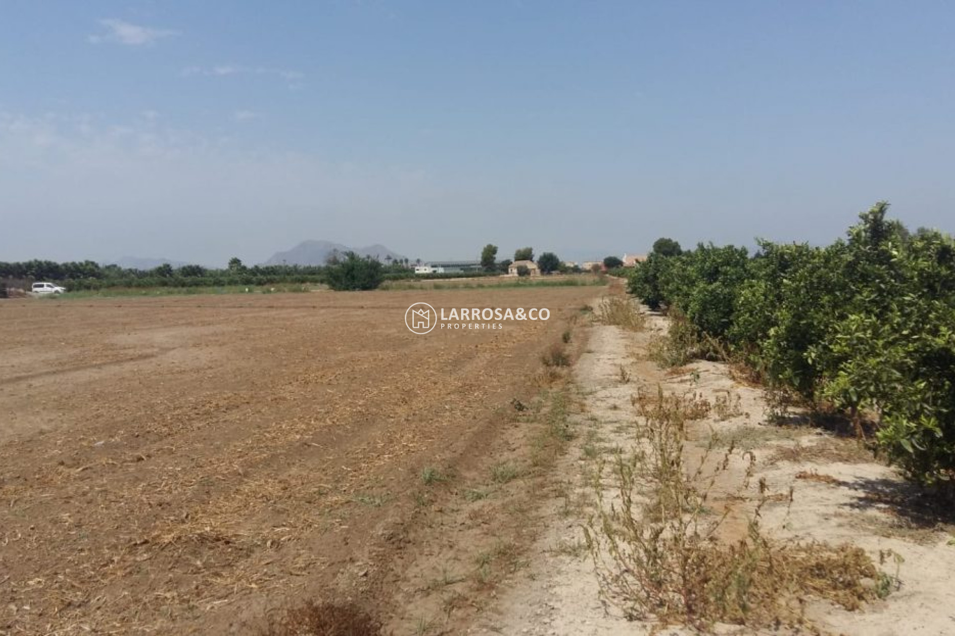 A Vendre - Country house - Daya Nueva - Costa Blanca