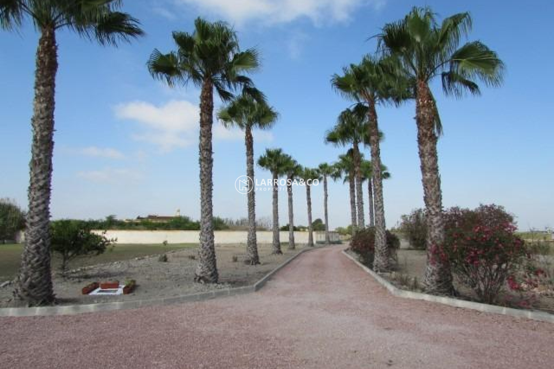 A Vendre - Country house - Dolores - Comunidad valenciana