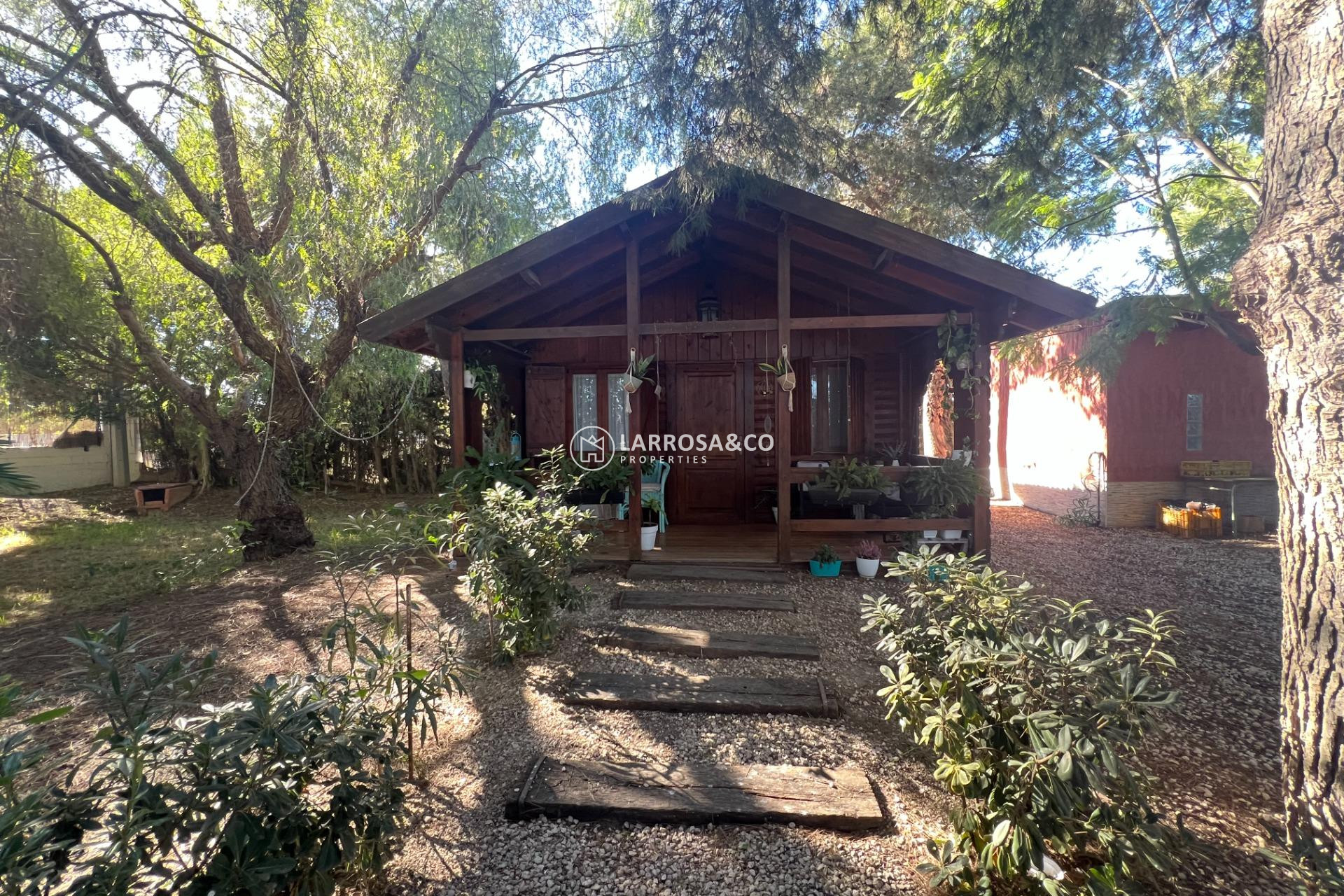 A Vendre - Country house - Dolores - Comunidad valenciana