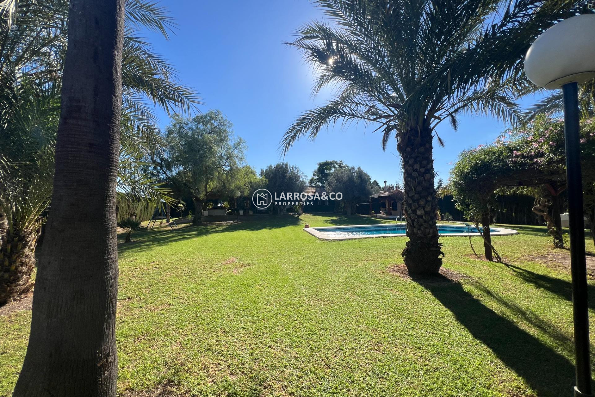 A Vendre - Country house - Dolores - Comunidad valenciana