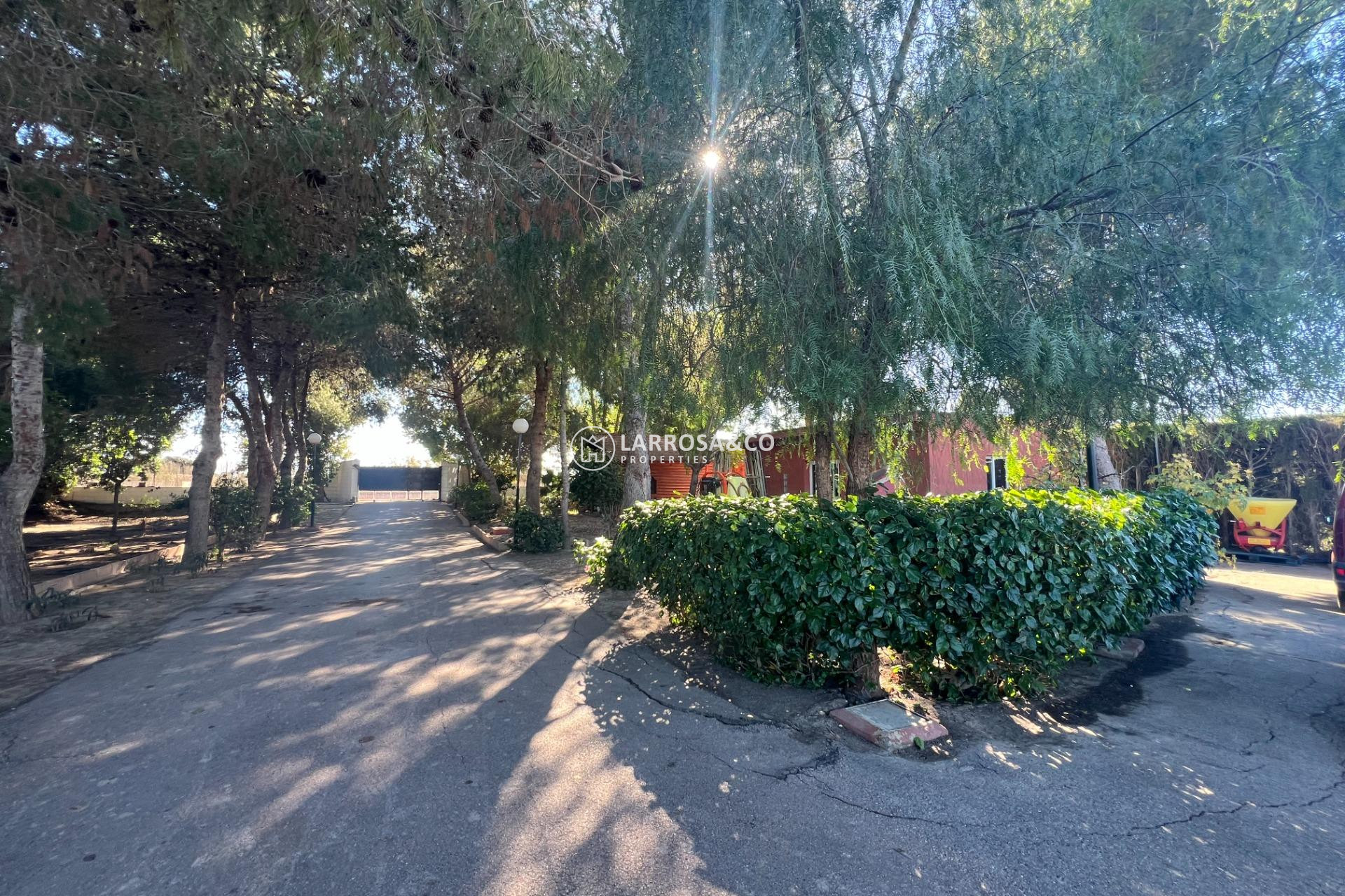 A Vendre - Country house - Dolores - Comunidad valenciana