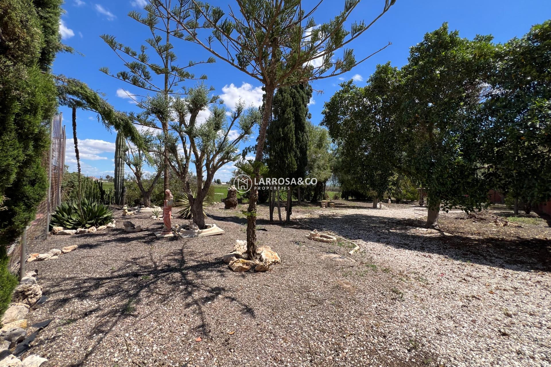 A Vendre - Country house - Dolores - Comunidad valenciana