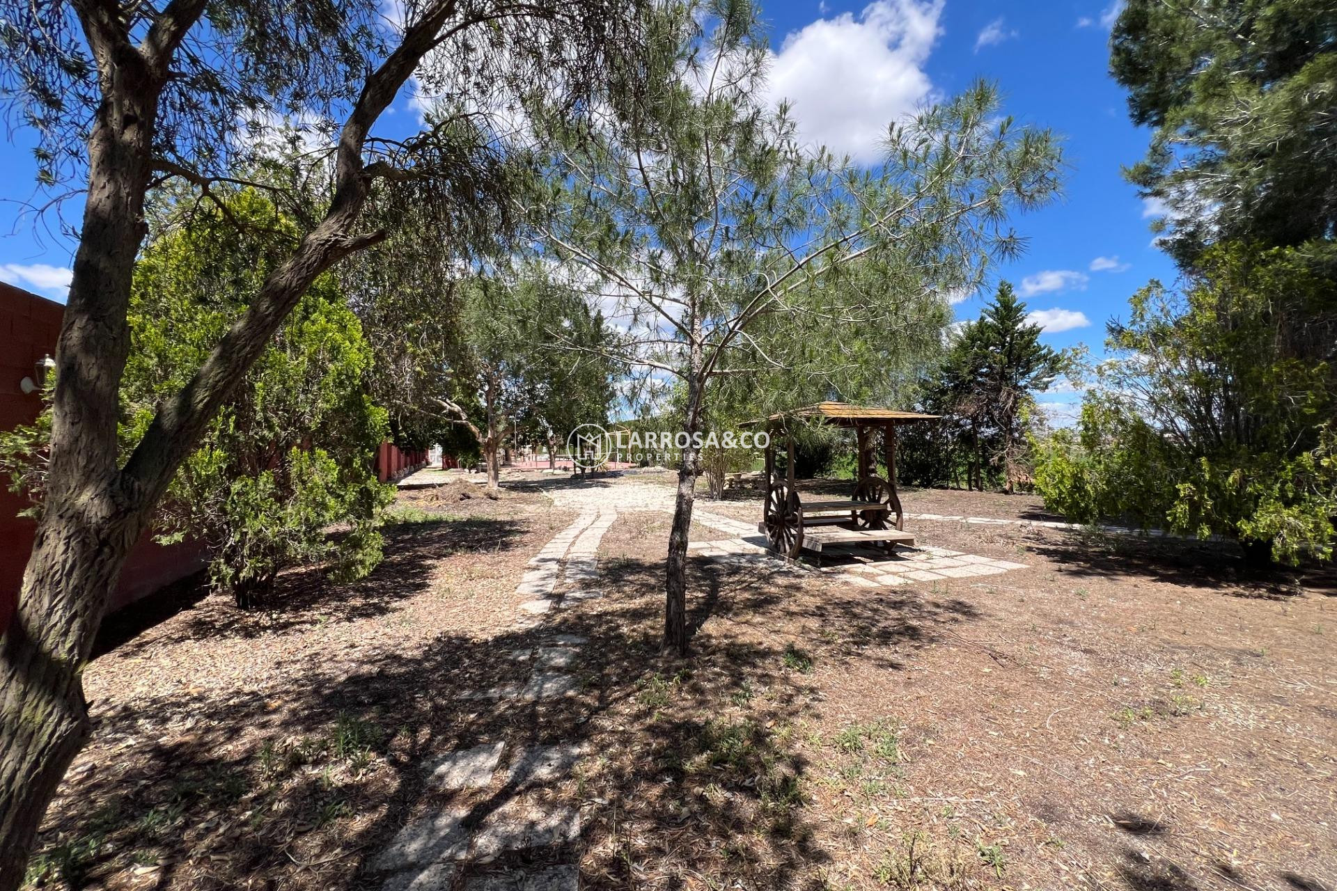A Vendre - Country house - Dolores - Comunidad valenciana