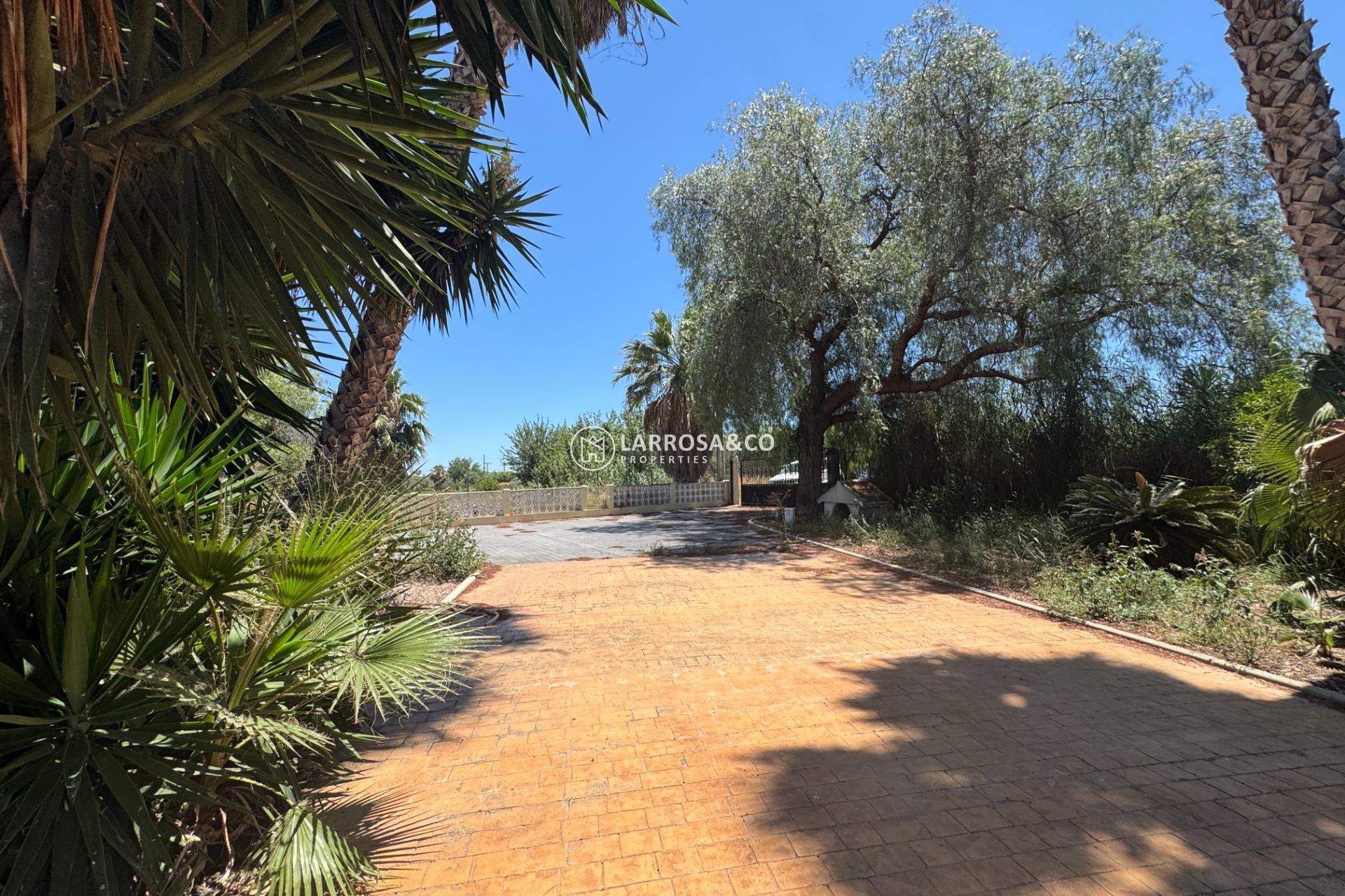 A Vendre - Country house - Dolores - Comunidad valenciana