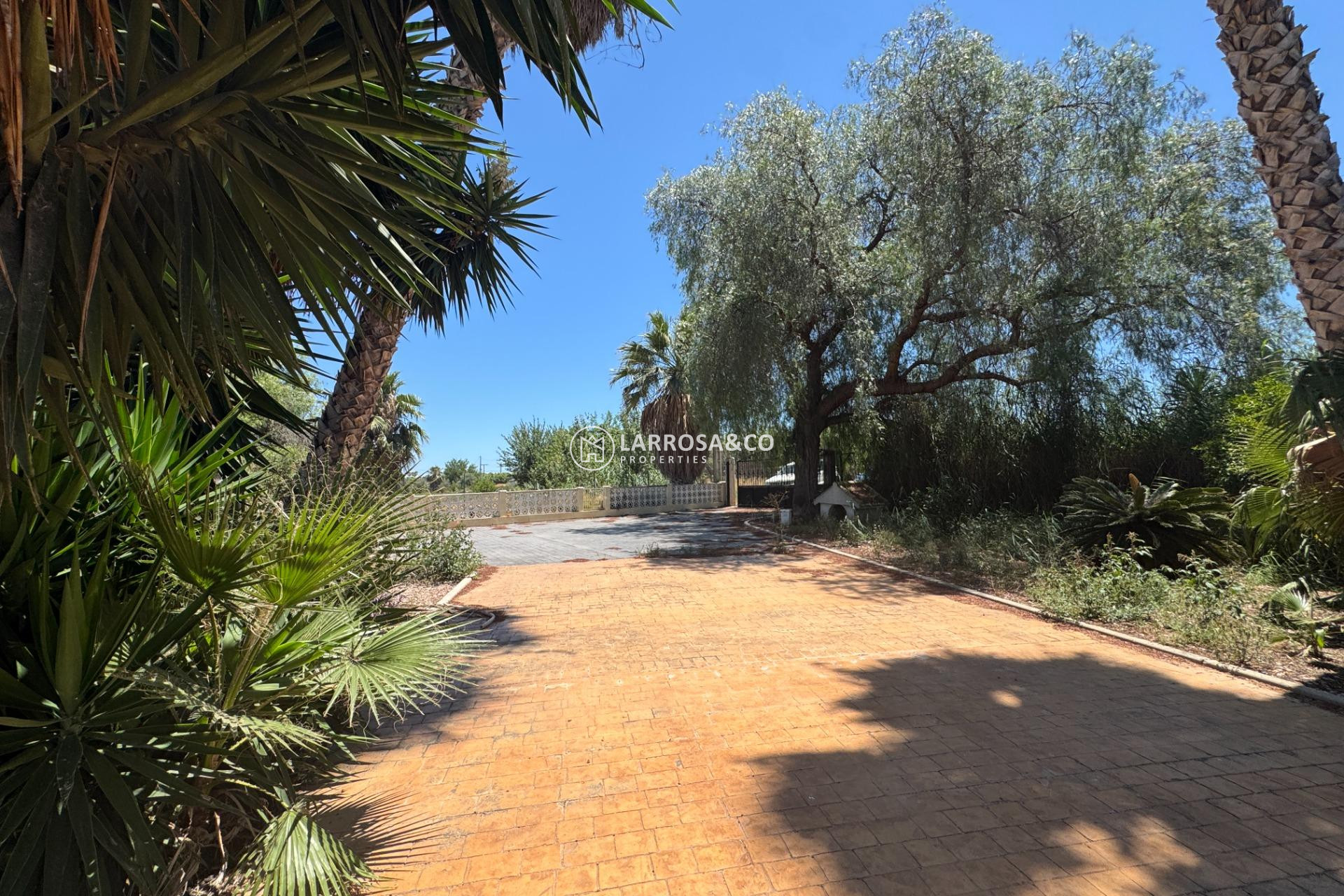 A Vendre - Country house - Dolores - Comunidad valenciana
