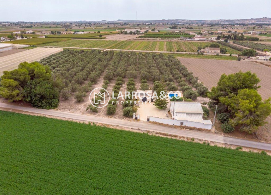 A Vendre - Country house - Dolores - Costa Blanca