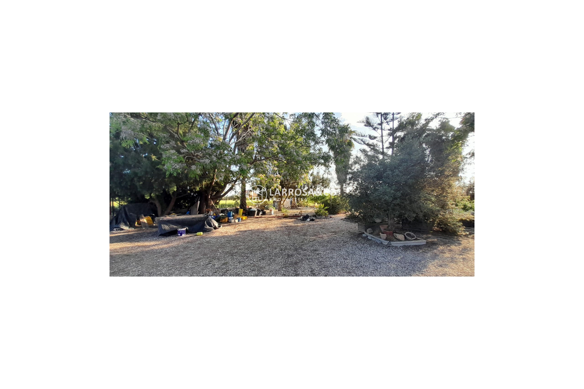 A Vendre - Country house - Dolores