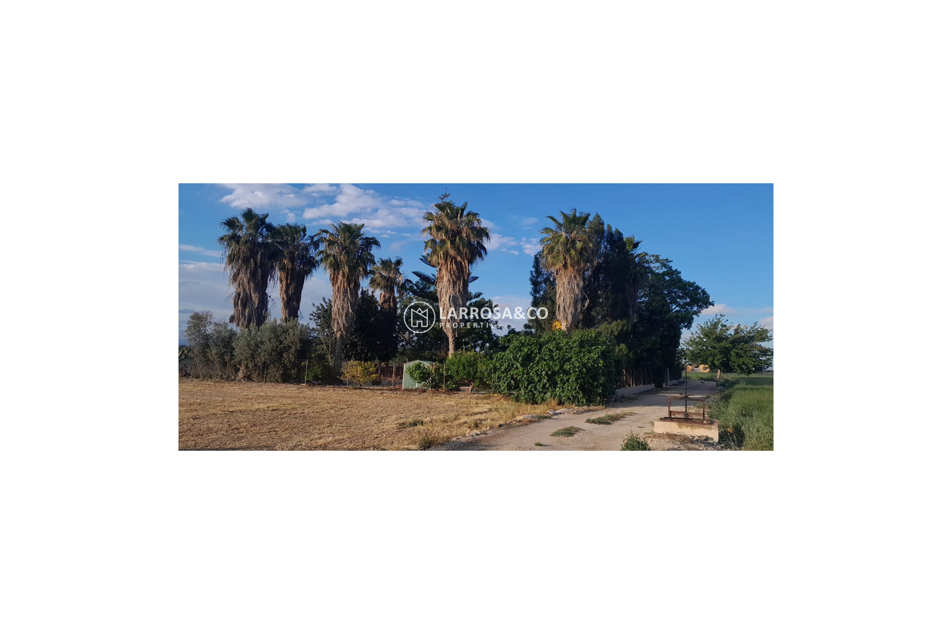 A Vendre - Country house - Dolores