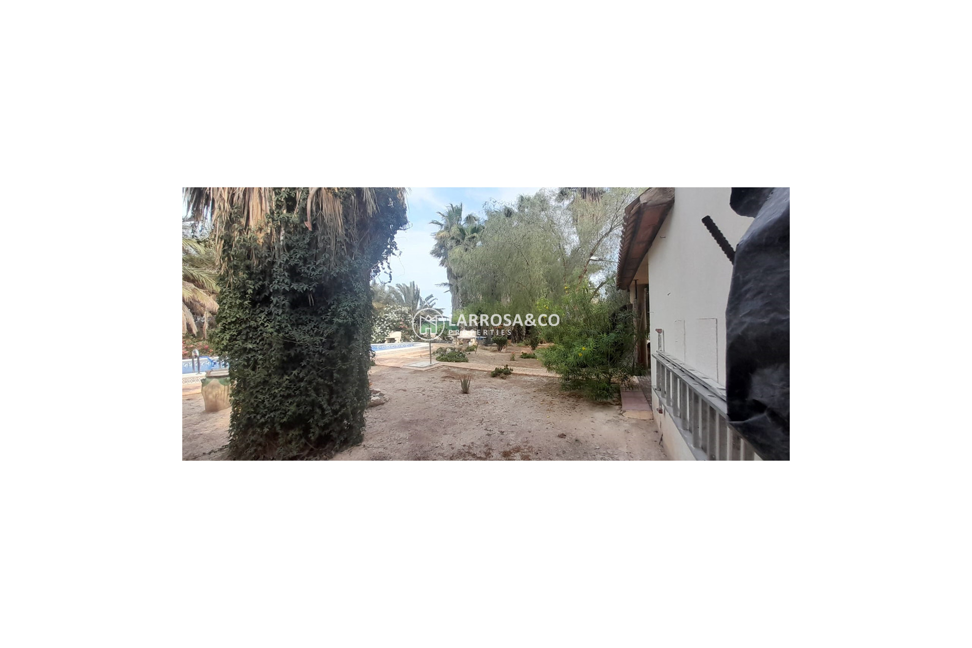 A Vendre - Country house - Dolores