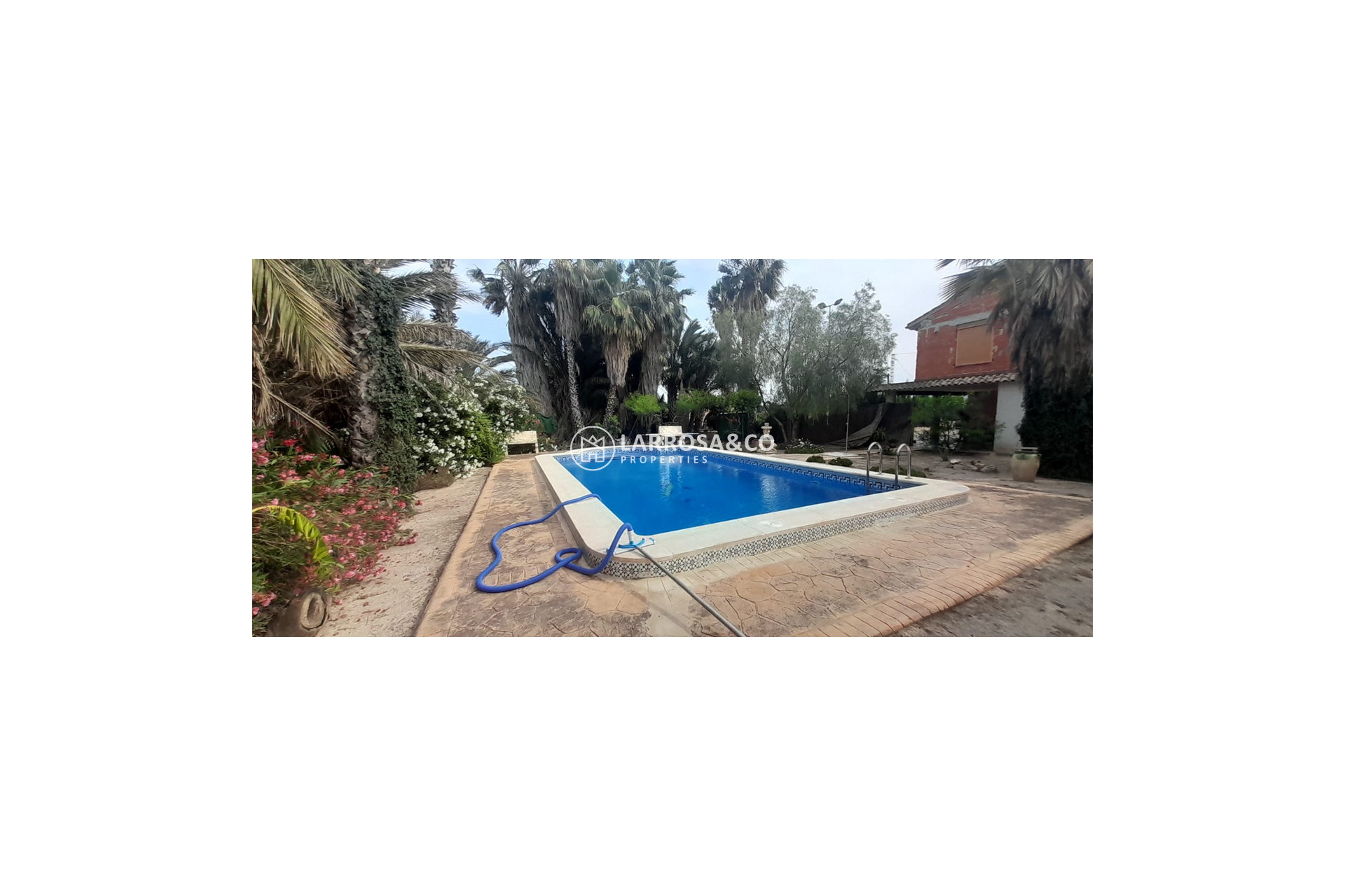 A Vendre - Country house - Dolores