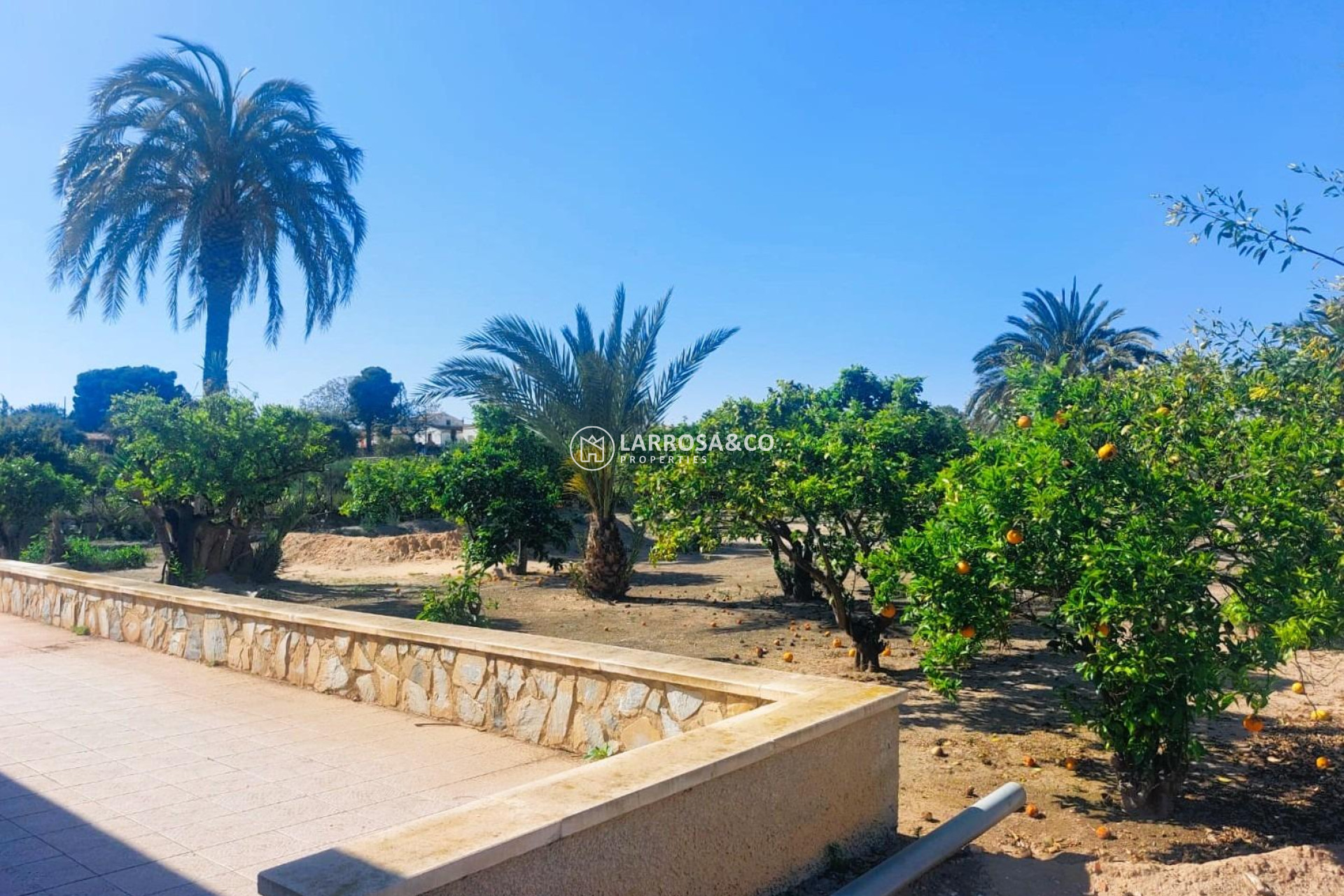 A Vendre - Country house - La Marina - Costa Blanca