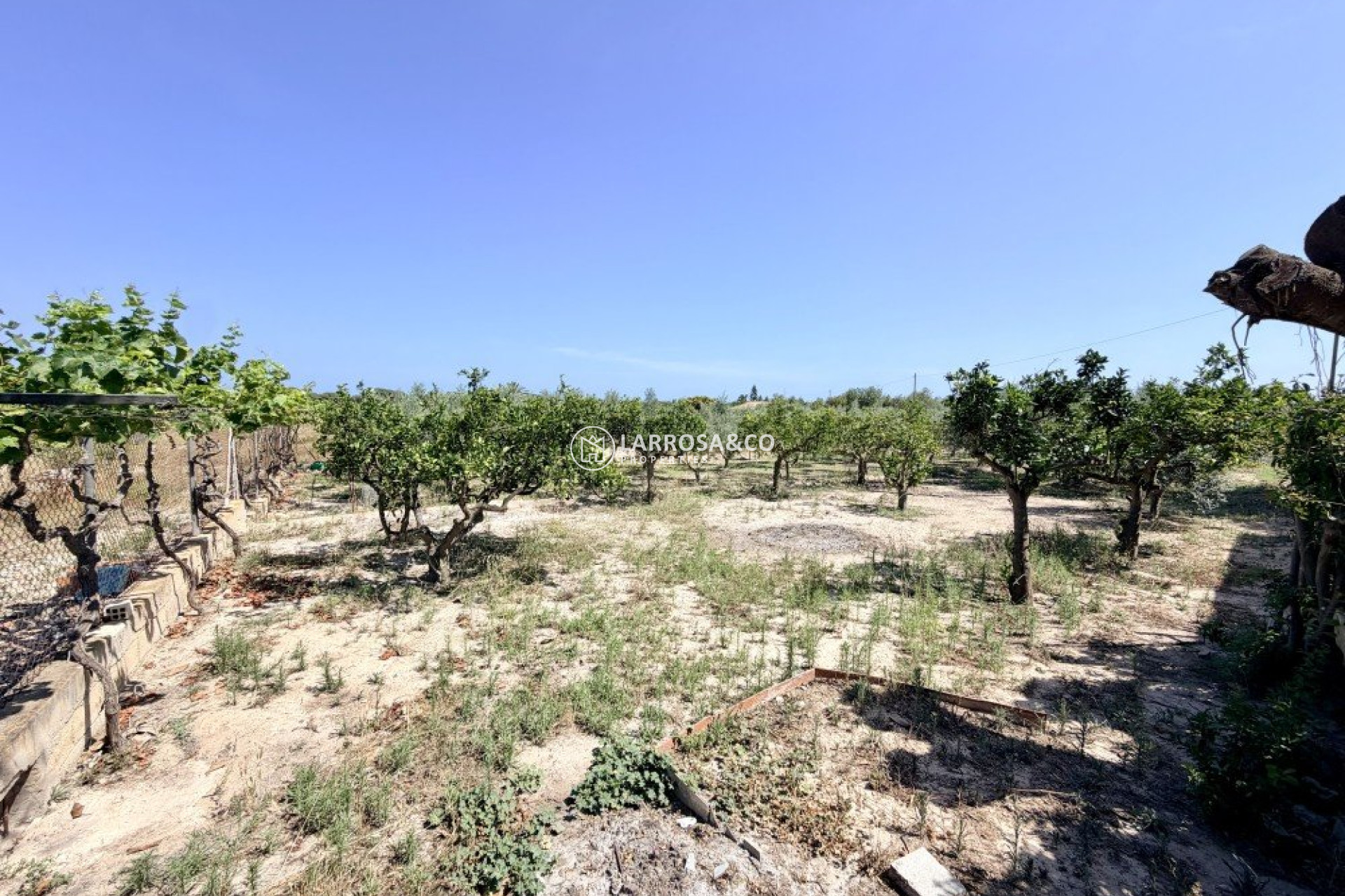 A Vendre - Country house - La Marina - Costa Blanca
