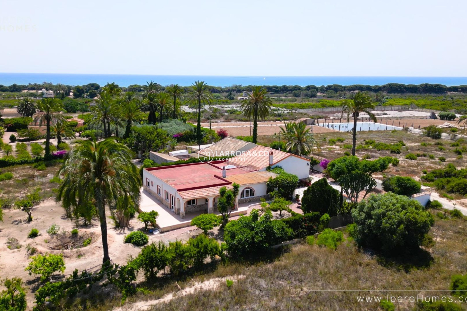 A Vendre - Country house - La Marina - Costa Blanca